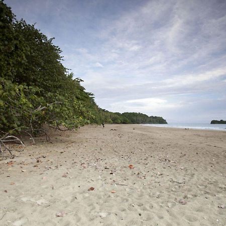 Azania Bungalows Puerto Viejo de Talamanca エクステリア 写真