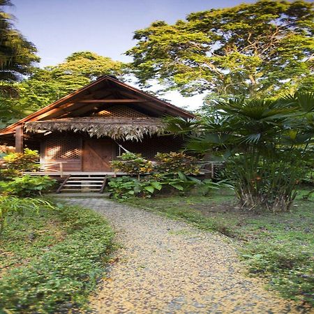 Azania Bungalows Puerto Viejo de Talamanca エクステリア 写真