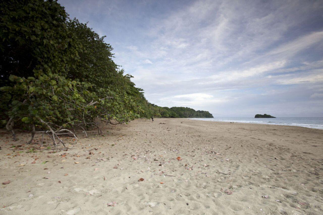 Azania Bungalows Puerto Viejo de Talamanca エクステリア 写真