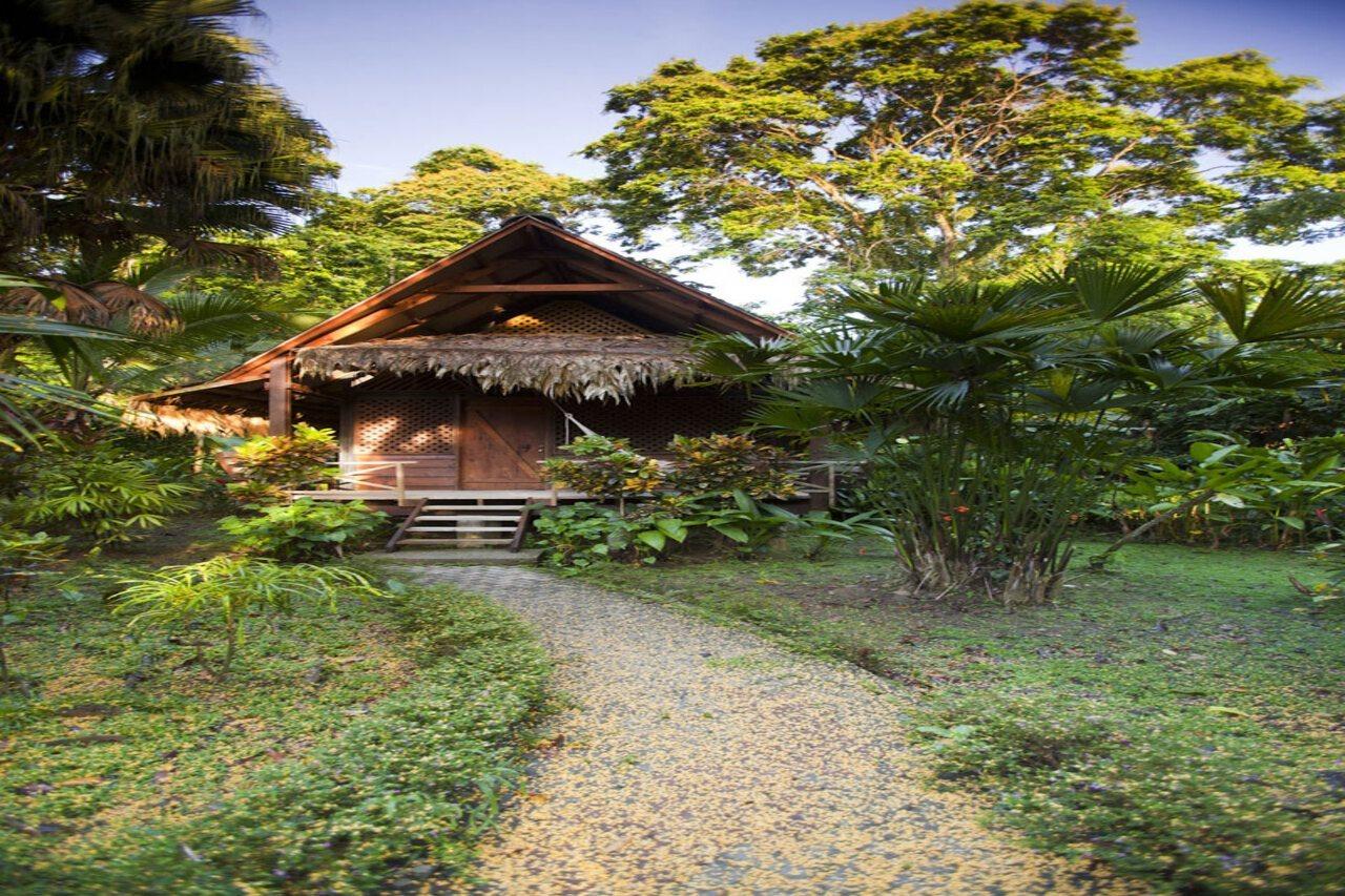Azania Bungalows Puerto Viejo de Talamanca エクステリア 写真