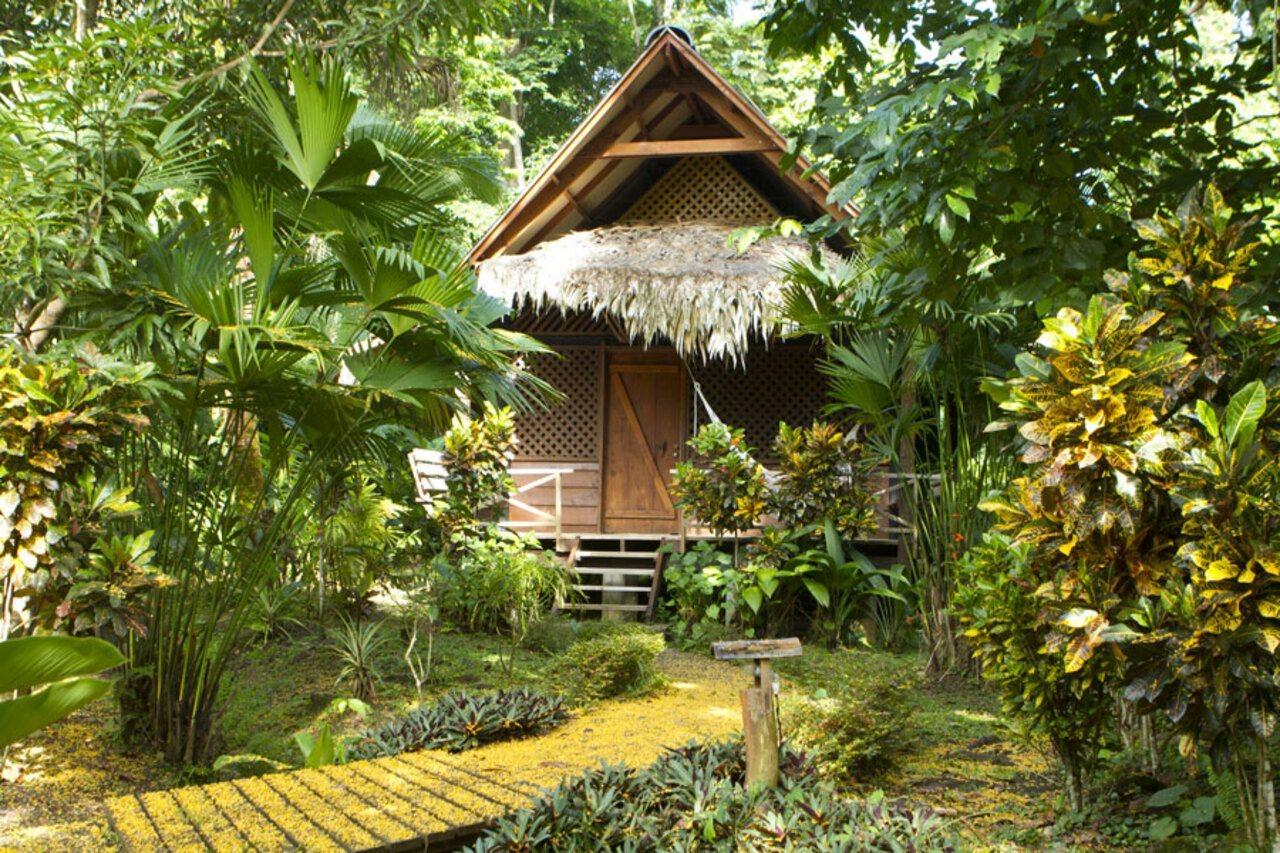 Azania Bungalows Puerto Viejo de Talamanca エクステリア 写真