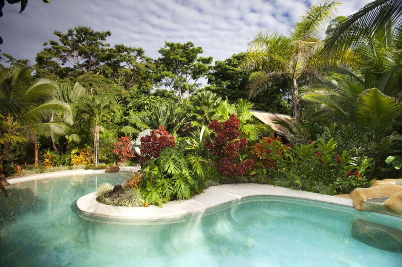 Azania Bungalows Puerto Viejo de Talamanca エクステリア 写真