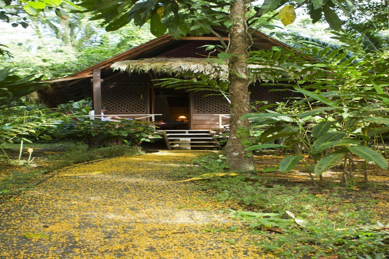 Azania Bungalows Puerto Viejo de Talamanca エクステリア 写真