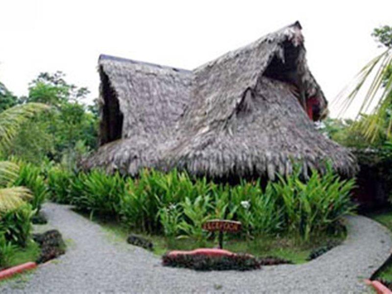 Azania Bungalows Puerto Viejo de Talamanca エクステリア 写真
