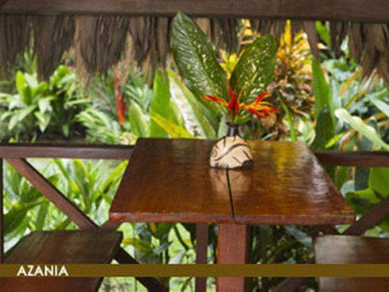 Azania Bungalows Puerto Viejo de Talamanca エクステリア 写真