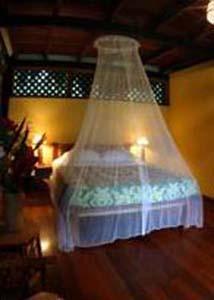 Azania Bungalows Puerto Viejo de Talamanca エクステリア 写真